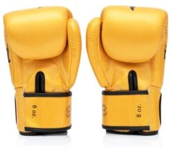MUAY THAI BOXING GLOVES FAIRTEX - BGV1 FALCON -Fairtex BOXINGGLOVESBYFAIRTEXBGV1FALCON 2