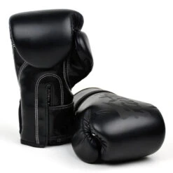 MUAY THAI MICROFIBER BOXING GLOVES FAIRTEX SUPER BLACK - BGV14SB -Fairtex FAIRTEX BGV14 BLACK SOLID2