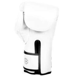 MUAY THAI MICROFIBER BOXING GLOVES FAIRTEX BGV14 - WHITE -Fairtex FAIRTEX BGV14 WHITE2