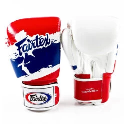 FAIRTEX BOXING GLOVES BGV1 BEST MUAY THAI GLOVES - THAI PRIDE -Fairtex FAIRTEX BGV1 THAI PRIDE2