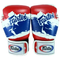 FAIRTEX BOXING GLOVES BGV1 BEST MUAY THAI GLOVES - THAI PRIDE -Fairtex FAIRTEX BGV1 THAI PRIDE3