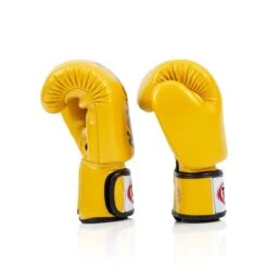 FAIRTEX BOXING GLOVES DELUXE TIGHT-FIT BGV19 - GOLD -Fairtex Fairtexboxingglovesbgv19gold 3