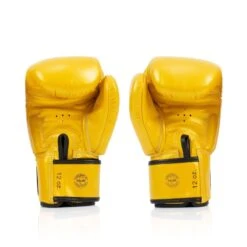 FAIRTEX BOXING GLOVES DELUXE TIGHT-FIT BGV19 - GOLD -Fairtex Fairtexboxingglovesbgv19gold 4
