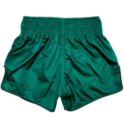 MUAY THAI SHORTS BY FAIRTEX BS1913 TONNA -Fairtex MUAYTHAISHORTSFAIRTEXBS19133