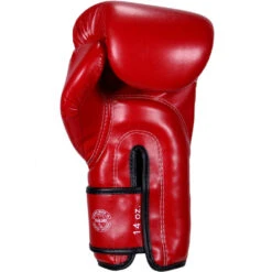 MUAY THAI MICROFIBER BOXING GLOVES FAIRTEX BGV14 - RED -Fairtex fairtex bgv14 red2